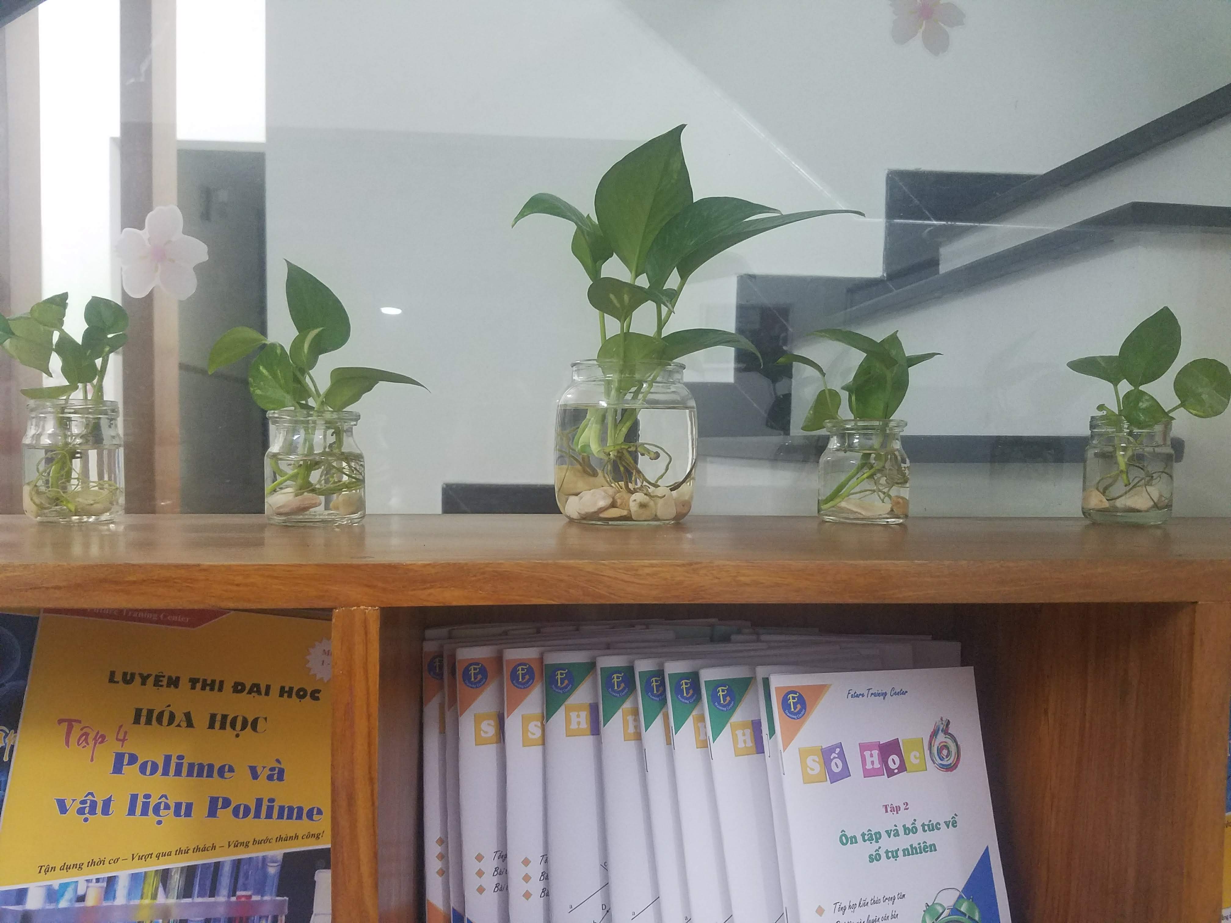 Trung Tâm luyện thi Future Hòa Xuân - Kiến Vinh Edu